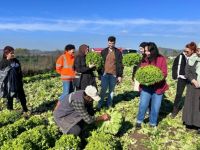 Aday çiftçiler sahada teorik bilgilerini pekiştirdi