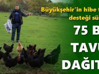 Kırsalda geçim kapısı güçleniyor, istihdam artıyor