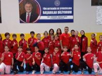 Körfez’in genç ve minik karatecileri 23 madalya aldılar