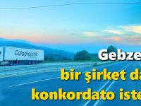 Gebze’de bir şirket daha konkordato istedi!