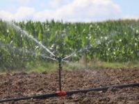 Toramanlar’da sulama suyu toprakla buluştu