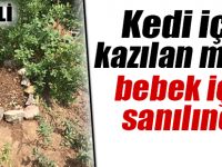 Kedi için kazılan mezar bebek için sanılınca