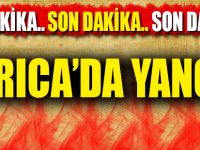 Darıca'da yangın!