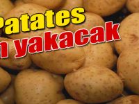Patates can yakacak