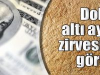 Dolar 6 Ayın Zirvesini Gördü