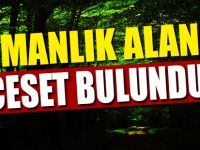 Ormanlık alanda cesedi bulundu!