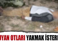 Kuruyan otları yakmak isterken canından oldu