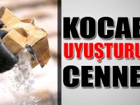 Kocaeli uyuşturucu cenneti