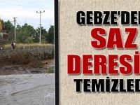 Gebze'deki saz deresini temizledi!