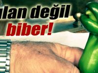 Yılan Değil Biber