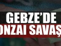 GEBZE'DE BONZAI SAVAŞI!