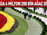 10 yılda 6 milyon 288 bin ağaç dikildi