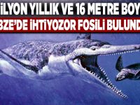 Gebze'de 340 milyon yıllık dinozor bulundu