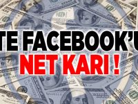 Facebook karını arttırdı