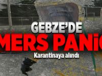 Gebze'de Mers Paniği