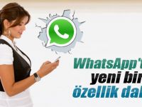 Whatsapp’ta ’Mavi Tik’ Dönemi