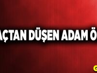 Zeytin ağacından düştü, öldü!