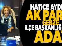 Hatice Ayden ilçe başkanlığına aday