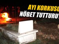 Mezarlıkta Ayı Nöbeti