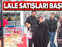 Lale satışları başladı