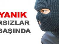 Uyanık Hırsızlar İş Başında