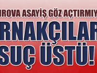 Çayırova Asayiş Göz Açtırmıyor,Tırnakçılara Suç Üstü!