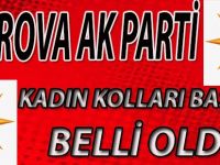 Çayırova Ak Parti Kadın Kolları Başkanı Belli Oldu