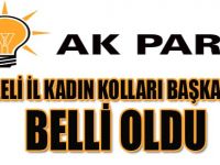 Ak Parti Kocaeli İl Kadın Kolları Başkan Adayı Belli Oldu