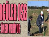 Kömürcüler OSB Çevreye Önem Veriyor