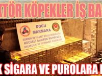 Dedektör Köpekler İş Başında, Kaçak Sigara Ve Purolara Darbe!