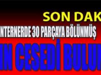 Konteynerde 30 Parçaya Bölünmüş Kadın Cesedi Bulundu