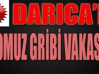 Darıca'da Bir Domuz Gribi Vakası Daha