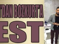 Turan'dan Bozkurt'a Jest