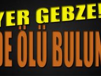 Evde Ölü Bulundu