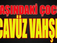 14 Yaşındaki Çocuğa Tecavüz Vahşeti