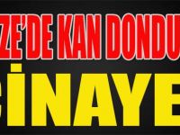 Gebze'de Kan Donduran Cinayet