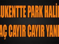 Mutlukentte Park Halindeki Araç Cayır Cayır Yandı!