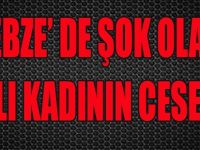 Gebze'de Şok Olay, Yaşlı Kadının Cesedi...