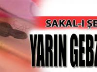 Sakal-ı Şerif Yarın Gebze'de