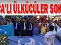 Darıca'lı Ülkücüler Sokakta!