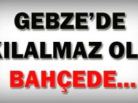 Gebze'de akıl almaz olay!