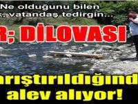 Karıştırıldığında Alev Alıyor!