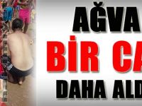 Ağva bir can daha aldı!