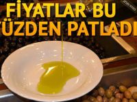 Zeytinde Stokçu Vurgunu Dünyanın En  Pahalısı