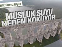 İstanbul Suyu Neden Kokuyor