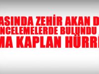 Zehir Akan Derede İnceleme