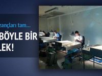 Seksörlük Mesleği