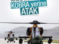 Kobra yerine atak