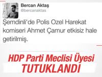 HDP'li meclis üyesi tutuklandı