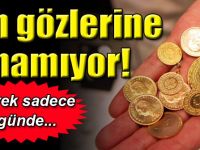 Çeyrek altının satış fiyatı 4 günde 15 lira yükseldi